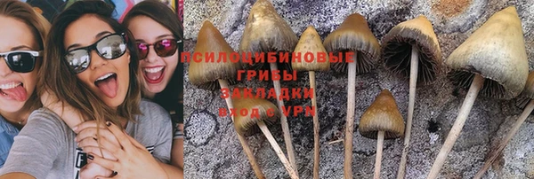 хмурый Михайловка