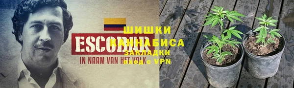 альфа пвп Михайловск
